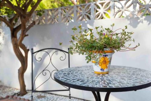 La Casa Chica | Frech seat